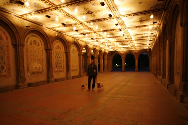 Bethesda Terrace, Central Park, with dogs
